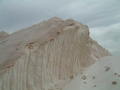 DSCF0065.JPG